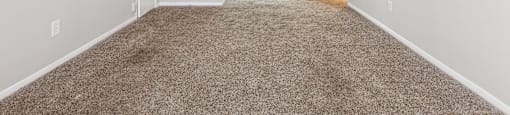 a spacious living room with carpet and white walls