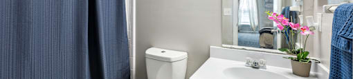 a bathroom with a blue shower curtain and a toilet and sink
