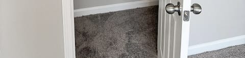A white door is open to a room with a carpeted floor.