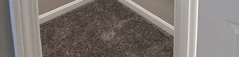A white closet with a carpeted floor and a white door.