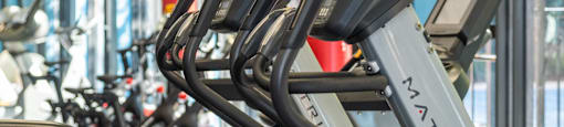 a row of cardio machines in a gym