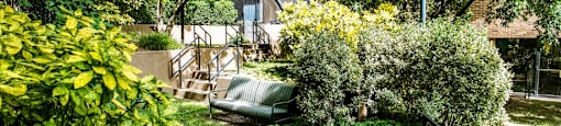 a backyard with stairs and a lawn and trees