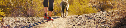 Dog Trail at Senna at Canyon Trails Apartments