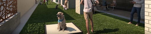 A dog sits on a mat in a courtyard with people walking around.