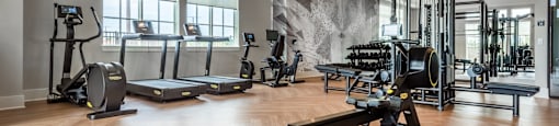 A gym with a variety of equipment including treadmills, weights, and a bench press.