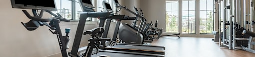 A gym with treadmills, elliptical machines, and a fan.