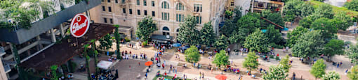 A large group of people are gathered in a park.