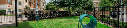 Dog Park
