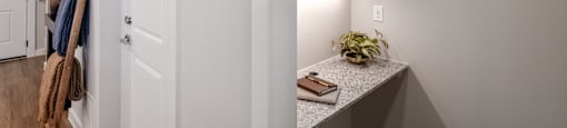 A white door with a plant on the counter.