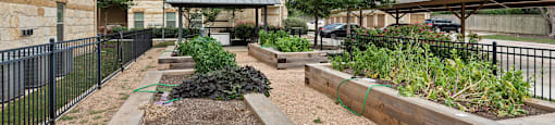 the preserve at ballantyne commons apartment community garden