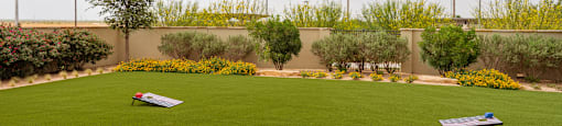 a large lawn with two trampolines in the middle of it