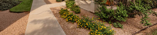 a home with a sidewalk and landscaping in front of it