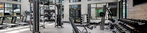 A gym with a variety of equipment including treadmills, weights, and a fan.