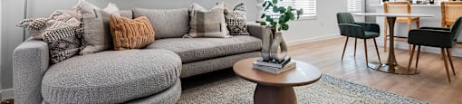 A living room with a grey sofa, a coffee table, and a rug.