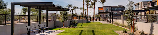 A modern outdoor seating area with a grassy lawn and palm trees.