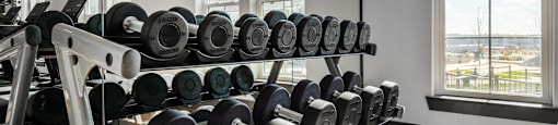 a rack of dumbbells in a gym with windows