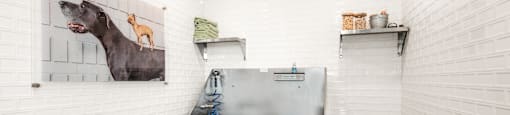 a kitchen with a sink and a painting of a dog on the wall