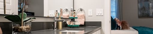 kitchen of an apartment at the cannery at packing district