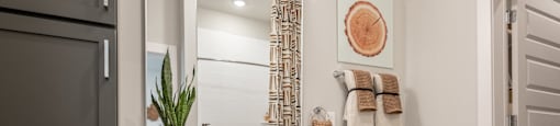 fully furnished bathroom of an apartment at the cannery at packing district