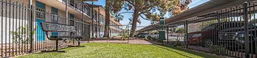 our apartments have a fenced in yard with grass