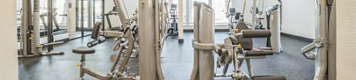the gym at the benjamin pa