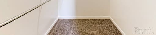 a walk in closet with white walls and shelves and a carpeted floor