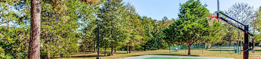 a basketball court in a park with trees