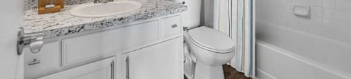 a bathroom with a sink and a toilet and a shower