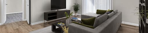 a living room with a gray couch and a tv