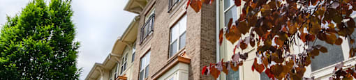 Enjoy the beautiful landscape at Veranda at Collegetown