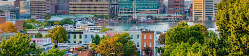 A cityscape with a mix of modern and older buildings, a river in the middle, and a tree-lined street in the foreground.