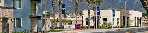 a city street with buildings and palm trees and mountains in the backgroundat Westbury Apartments, California, 91739