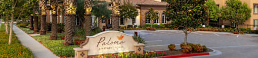 Palm trees line the entrance to Paloma Apartment Homes.