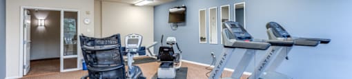 the gym is equipped with cardio equipment and weights