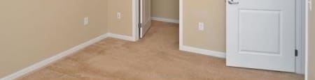 a room with carpeted floor