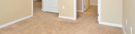 a room with carpeted floor