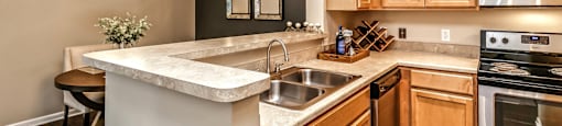 Sink with Integrated Sprayer at The Landings Apartments, Bellevue