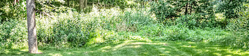Spacious pet friendly outside area  at Deer Park Apartments in Council Bluffs, IA