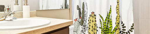 Spacious Bathroom in East Lansing Apartments near Michigan State University | Beechwood