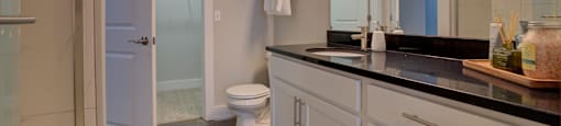 Bathroom at Vista at the Heights Apartments in Lansing, MI