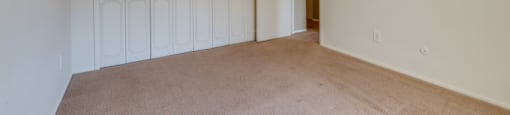 a bedroom with two closets and a carpeted floor