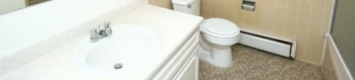 a bathroom with a sink and a toilet and a mirror