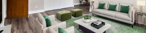 A living room with a white couch and a green rug.
