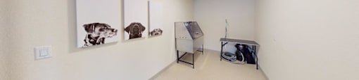A room with a white wall and a picture of a dog hanging on it.