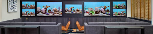 A modern living room with a grey sofa and a coffee table.