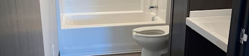 a bathroom with a toilet and a tub and a sink