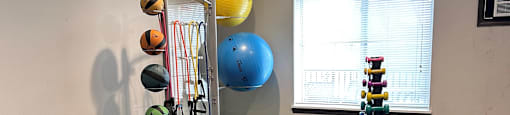 A gym room with a bench, weights, and exercise balls.