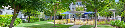 Broadleaf Apartments  |  Trees with Shaded Areas Walk Way