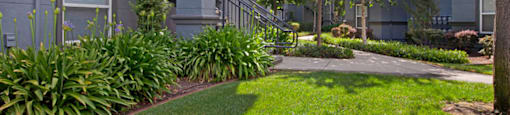 Broadleaf Apartments  |  Apartment Exterior with Well-Kept Grounds