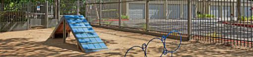 Broadleaf Apartments  |  Bark Park and Dog Run